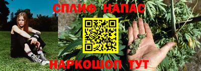 прущие крисы Будённовск