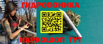 прущие крисы Будённовск