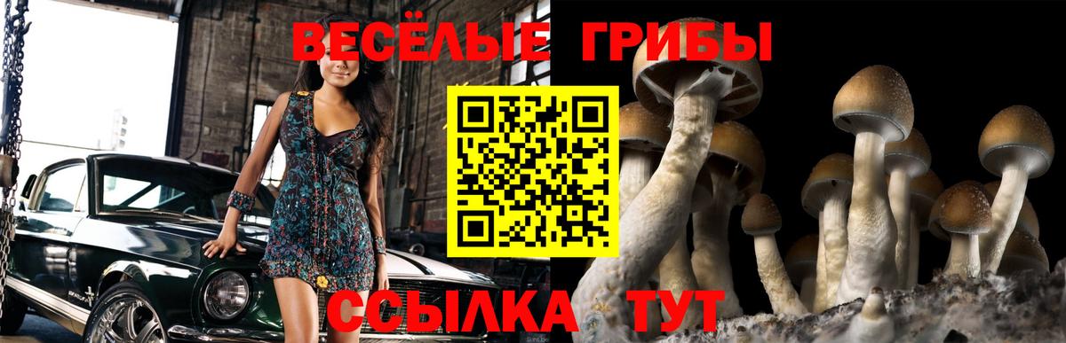 Сургут  Псилоцибиновые грибы Psilocybe  Псилоцибиновые грибы мицелий  где продают наркотики  Вход с VPN 